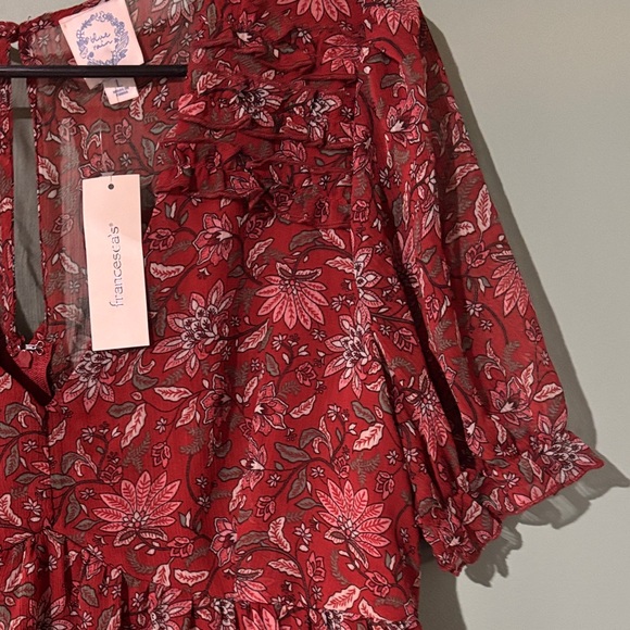 Blue Blush Red Floral Mini Dress - Picture 5 of 6